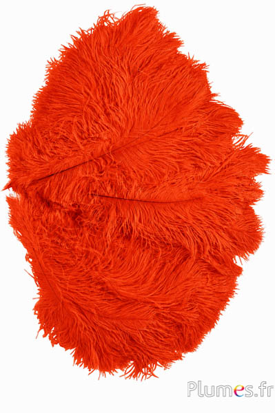 Strauss - 30-40 cm - blutorange